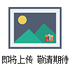 **SEKO計量泵/意大利賽高/加藥泵/電磁計量泵AKS600